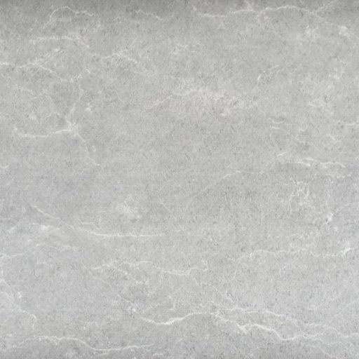 Micasso 30 X 60 TILES